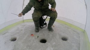 Рыбалка на сига.Лопарский сиг.Часть I.Тест мух с AliExpress./ fishing for whitefish Part I