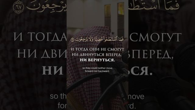 Шейх Мухаммад Аль Люхайдан очень красивое чтение Корана (413)