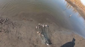 Кастинговая сеть на рыбалке - то, что надо. Ловит всё, что есть на дне.