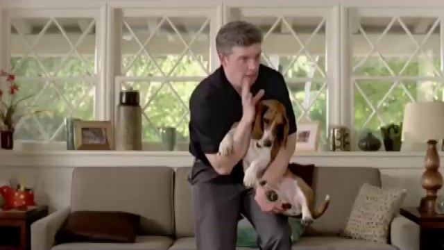 xfinity comcast basset hound commercial.mp4 смотреть онлайн