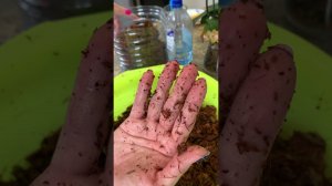 Новый брикет кокосового субстрата