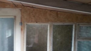 Броллеры на напольном содержании.