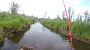 Рыбалка на каяке по реке в Беларуси / Экзотическая рыбалка с гидом в Беларуси