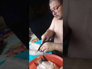 Позем из щуки