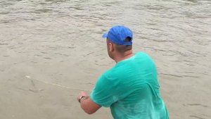 Сом на кастинговую сеть