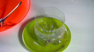 Размножение орхидей цветоносами, простой способ, детка орхидеи из цветоноса.