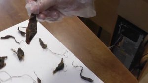 Контрабанда дериватов в поселке Посьет