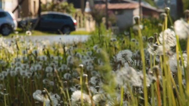 Что значит Россия для жителей д. Боярка смотреть онлайн