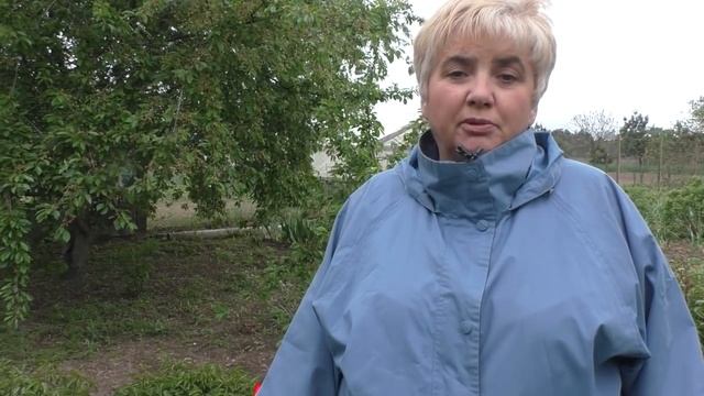 5 ПРОВЕРЕННЫХ СПОСОБОВ В БОРЬБЕ С МУРАВЬЯМИ. Мои цветы. Мой опыт.