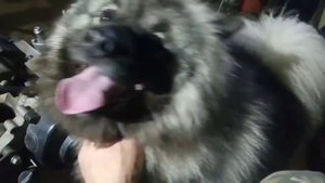 Замена втулок и сайлентблоков на скутере 139qmb