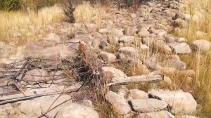 Рыбалка на реке Нижняя Ципа 2019