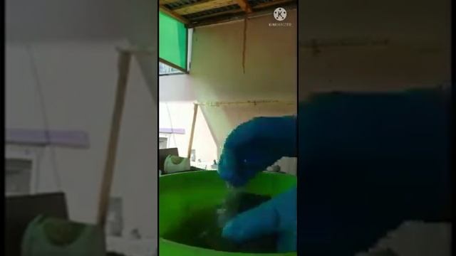 грибочки для сада и огорода смотреть онлайн