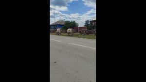 село Париж Челябинская область ,2021