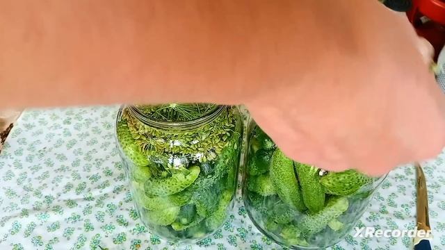 Бочковые огурцы. Самый быстрый, легкий, а главное вкусный рецепт.