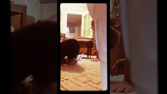 ХАХАХАХА ПРОДЫ НЕ БУДЕТ ПОТОМУ ЧТО ЭТО БЫЛО ДАВНО. А ТАК ЖДИТЕ ВИДЕО смотреть онлайн