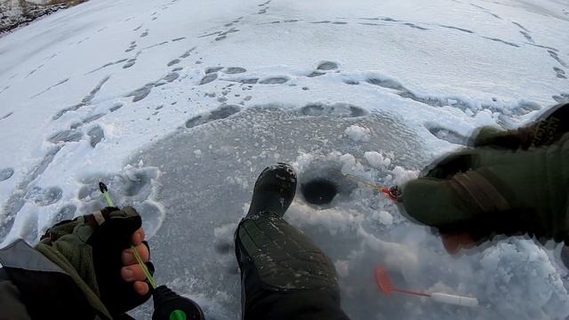 В этом карьере полно рыбы. Рыбалка на заброшенном платнике. Безымянные карьеры  часть1 (Пос. Бажово