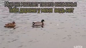 СТИХИ ПРО СЕСТРУ