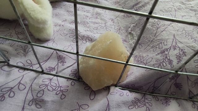 Содержание кролика. Глава 2. Манеж. Соль. смотреть онлайн