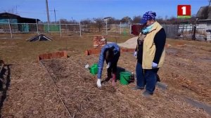 как подготовить  грядки к  весенним посадкам