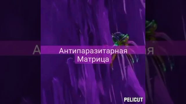 ?Матрица Гаряева от  микробов, грибков  и бактерий .