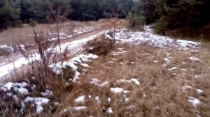 Ловля певчих птиц. Московка.