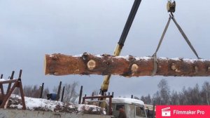Разгрузка зимнего леса в нашей мастерской