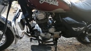 Irbis garpia. Ремонт произведён.