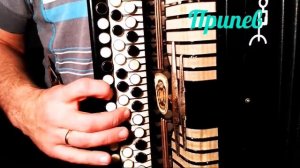 Михаил Евдокимов - Ах баня, баня, баня Кавер на баяне + Разбор