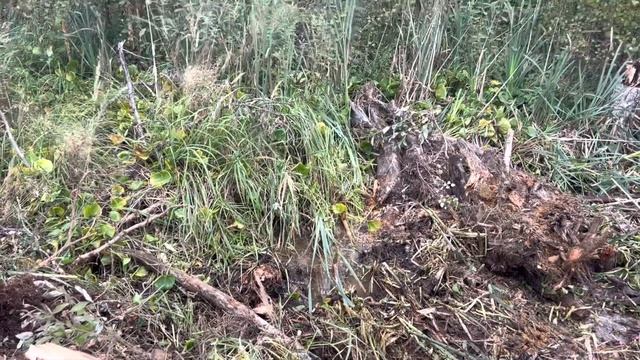 ОТСЫПКА УЧАСТКА 15 СОТОК ЗА 5 минут #дача #благоустройство #дом #строительство #дренаж #экскаватор смотреть онлайн