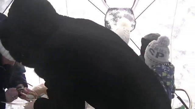 Новогодний пикничок 2021 смотреть онлайн