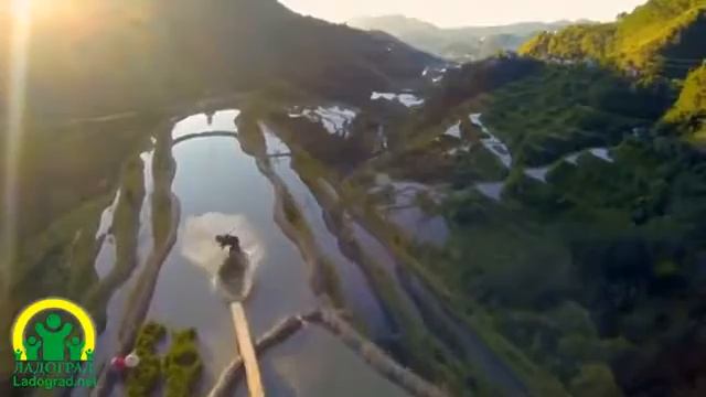 15 июля 2016 г. смотреть онлайн