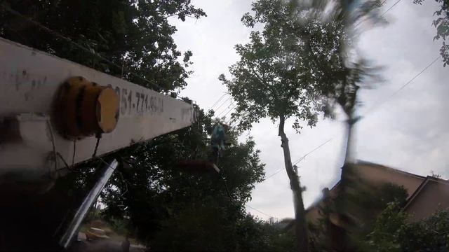 Спил деревьев в Симферополе. смотреть онлайн