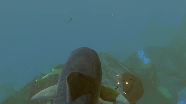 Feed And Grow Fish : Tiger Shark смотреть онлайн