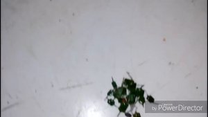 Много КМ конденсаторов в коробочках от радиостанции,самые дорогие радиодетали СССР.