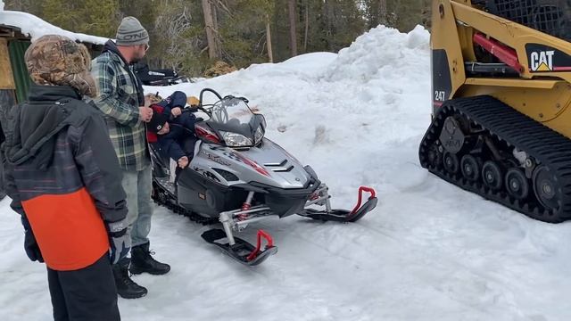 Алабай среднеазиатская овчарка. Умка снежный медвежонок. Alabai-Central Asian Shepherd Dog. смотреть онлайн