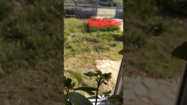 Агро Маркет посмотрел это видео и вернул мне деньги.1 мая 2021 г. смотреть онлайн