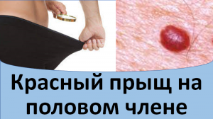 Красный прыщ на половом члене