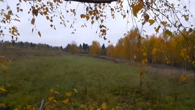 Охота на медведя. смотреть онлайн