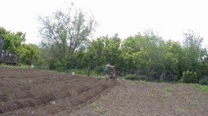 Мотоблок АГАТ ☆дебютная посадка картофеля☆