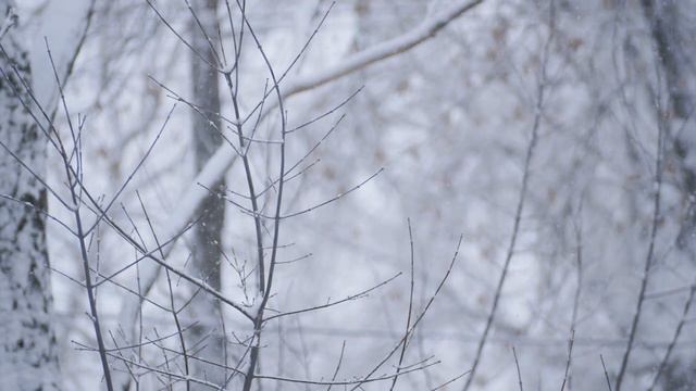 КРАСИВАЯ РОЖДЕСТВЕНСКАЯ МУЗЫКА 2024: лучшие рождественские песни всех времен для отдыха, сна и учеб смотреть онлайн