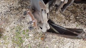 УСТАНОВКА ПОВОРОТНЫХ КУЛАКОВ С ПИЛЕННЫМИ СОШКАМИ НА MAZDA RX-8, ЗАБЫТАЯ ДЕСЯТКА ОЖИВАЕТ!!!