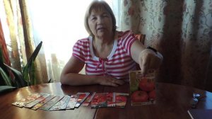 ВЫСОКОРОСЛЫЕ ГИБРИДЫ ТОМАТОВ ДЛЯ ТЕПЛИЦЫ №3 НЕОБЫЧНАЯ СТОРОНА(ЮЖНАЯ)