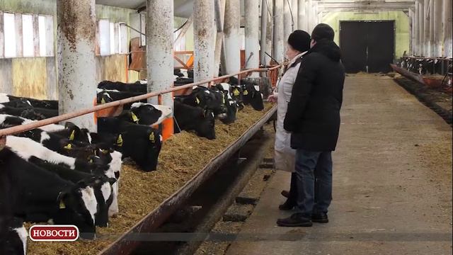 Производство мясо-молочной продукции