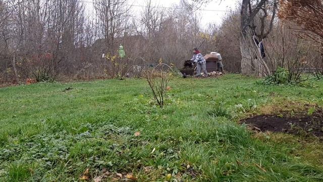 Гортензии обрезала???/Осенние работы в саду! #влогдомохозяйки #benita_life_vlog