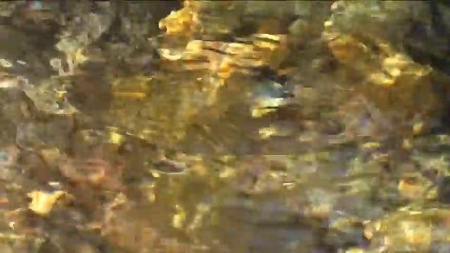 Риха (живительная вода) Алханая