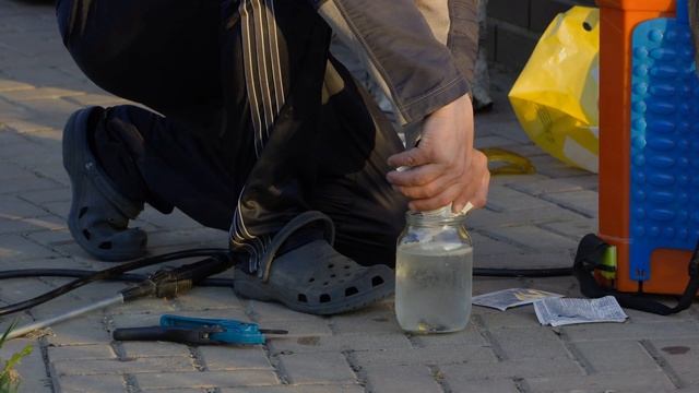 как я защищаю свой сад от монилиоза абрикосы, черешню, вишню, сливу