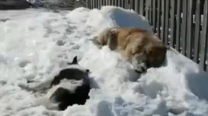 Эгвекинот Залив Святого Креста Чукотский АО