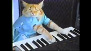 кот играет злую музыку на пианино