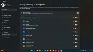 Can you hide or remove the microphone icon in the Windows 11 system tray?