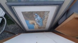 Они это выкинули ! А я взяла и забрала.Обзор находок и поиск клада в Австралии.Не свалка,а барахолк